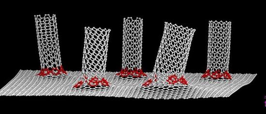 6365172076167802965391722.jpg 6365172076167802965391722.jpg