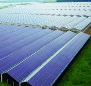 我国科学家创新光能利用方法 光伏电池发电量提升4至5倍